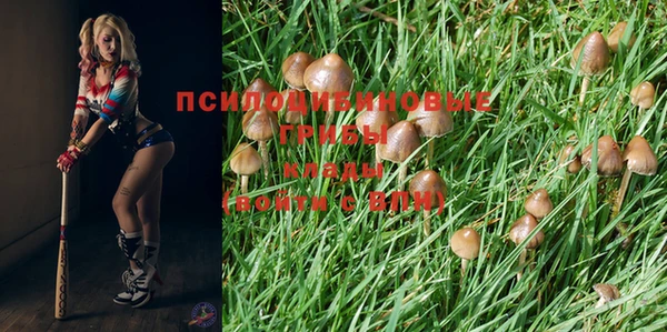 кокаин премиум Алексин