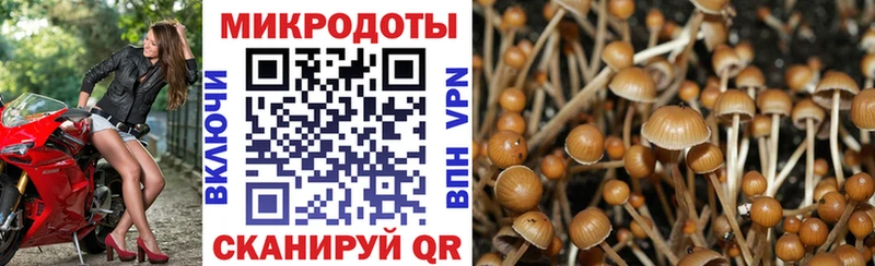 Галлюциногенные грибы мухоморы  Сочи 