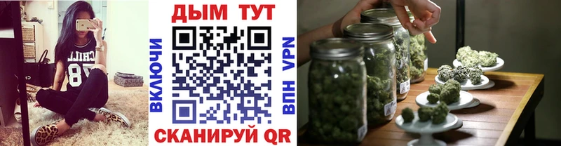 Конопля сатива  Сочи 